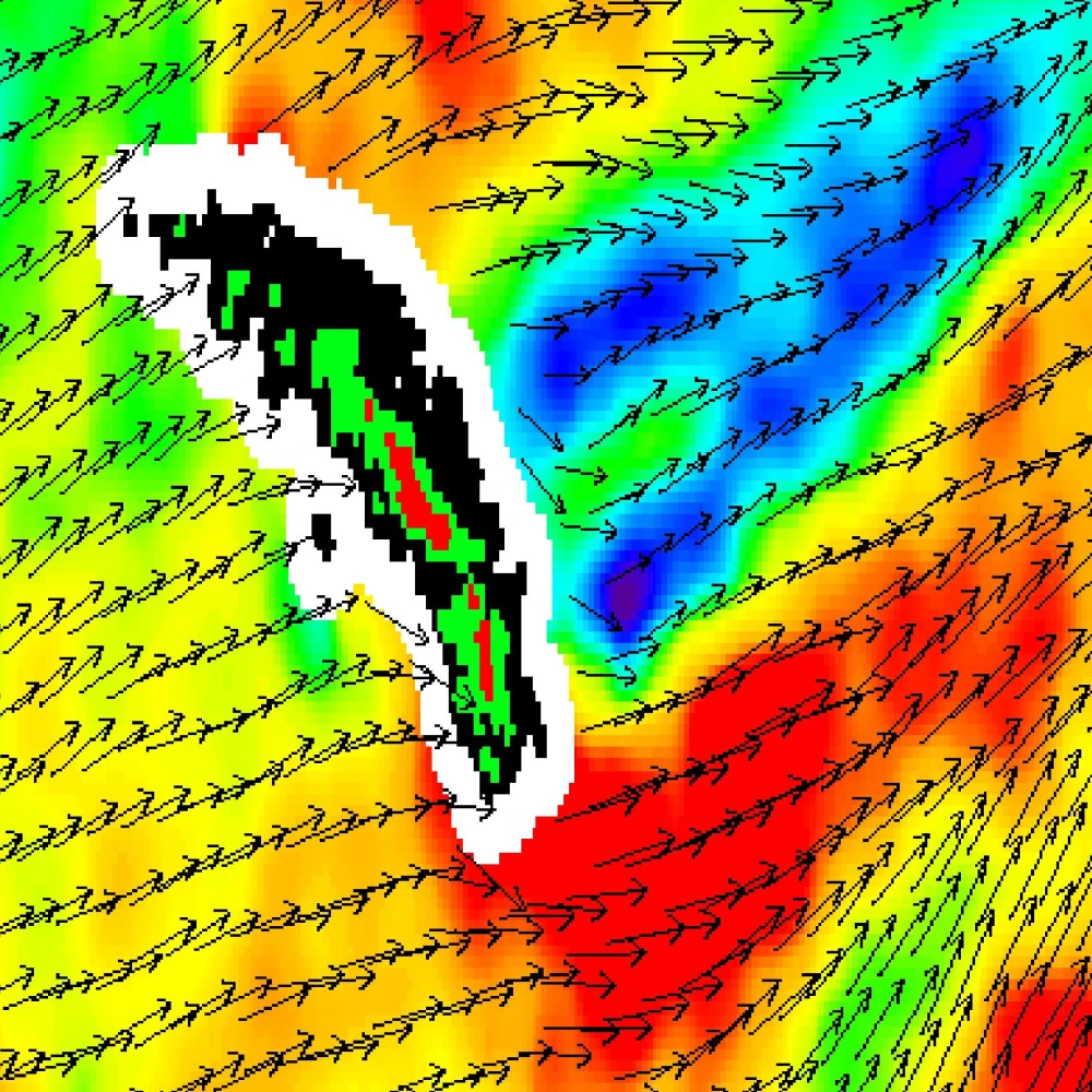Jameel Observatory-CREWSnet